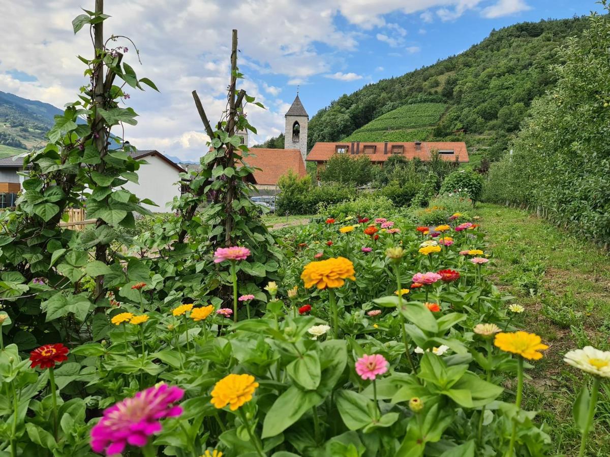 Kircherhof 브레싸노네 외부 사진